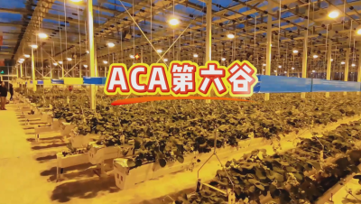 #ACA第六谷 模式，打造#ACA作物工厂，规划建园到栽培种植水肥管理一站式服务！#可控农业 #华维集团
