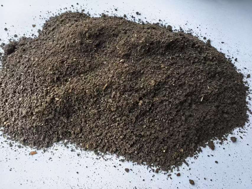 http://st-static1.moabrent.com/forums/2025/07/14/17524565613540.jpeg