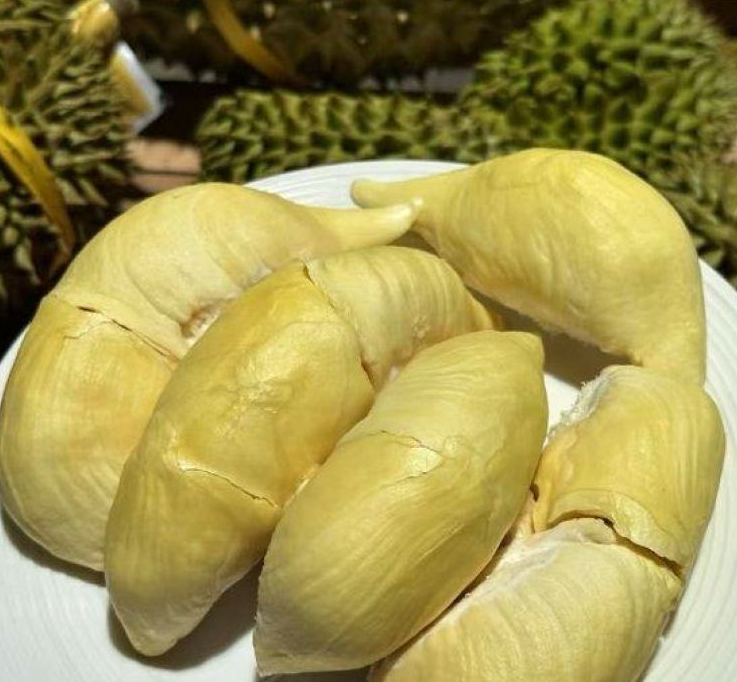 泰国甲仑榴莲
浓香满口，丝滑如奶油
甜甜糯糯，榴莲味浓郁
谁让它是泰国榴莲界的元