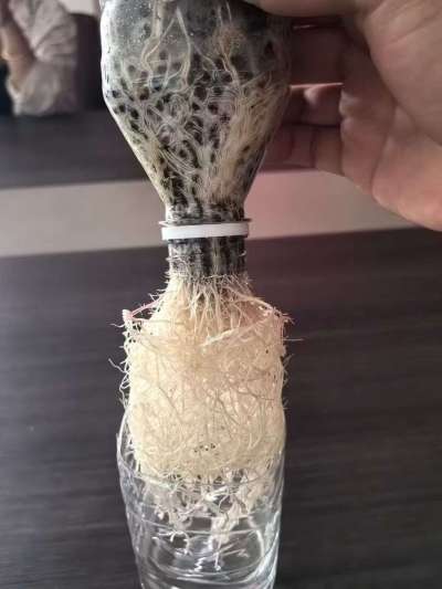 年销售量三十万吨的有机肥生产厂家，全国网点发货，资质齐全，正品保障！有机肥、生物菌肥、微生物肥料等