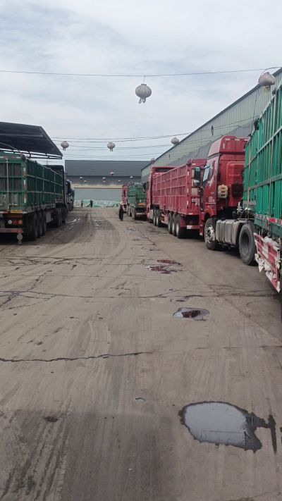 发酵 鸡粪，发酵羊粪 有机肥 微生物肥 微生物菌肥 微生物菌剂 每天出货量1500多吨，都是老客户介绍新微生物菌肥，山西马上出发，近期用肥的老板提前联系，马上到国庆节＋中秋节 一大部分物流都会放假，到