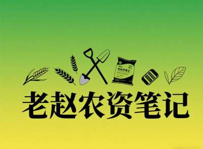 乡镇农资店对接厂家：不是否定代理，是找对&ldquo;有前景的小厂&rdquo;补增量