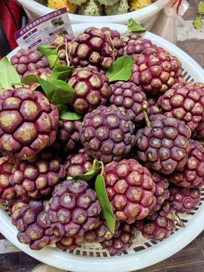 认水果，有认识的吗？