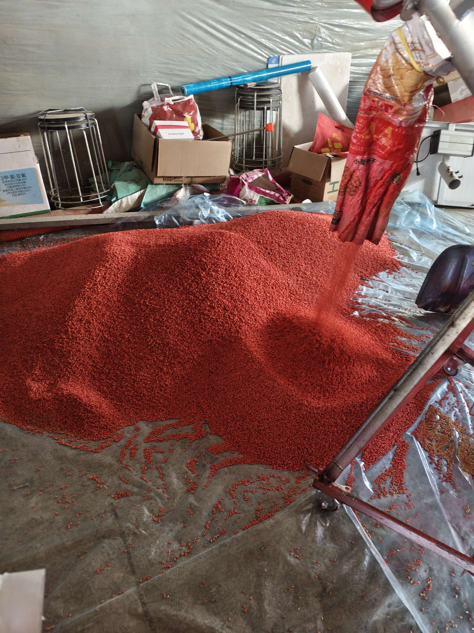 四冠包衣拌种，防虫防病壮苗增产。