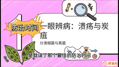 第三节：细菌与真菌&mdash;&mdash;溃疡病与炭疽病，课程：《柑橘十大病虫害：从入门到精通》