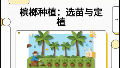 第01节：选苗与定植&mdash;&mdash;&ldquo;苗好一半收，底肥定千秋&rdquo;课程：《槟榔种植：从不懂到精通的10堂必修课》