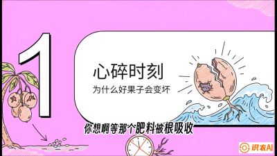 第08节：微量元素与保果&mdash;&mdash;&ldquo;补硼又补钙，果子不裂坏&rdquo;《槟榔种植：从不懂到精通的10堂必修课》