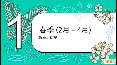 第10节：周年农事日历&mdash;&mdash;&ldquo;跟着节气走，丰产在手头&rdquo;《槟榔种植：从不懂到精通的10堂必修课》