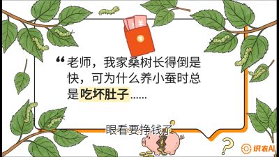 第01节：不仅仅是树&mdash;&mdash;顶级品种选配策略，课程：《桑海淘金：桑树高产与蚕桑安全进阶实战课》