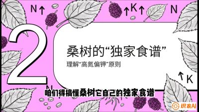 第04节：地下核动力&mdash;&mdash;桑树专用水肥一体化配方，课程：《桑海淘金：桑树高产与蚕桑安全进阶实战课》