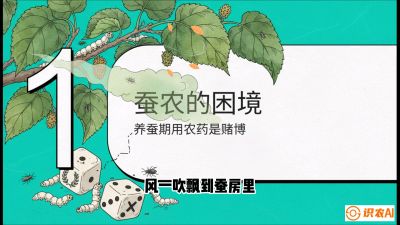 第06节：虫口夺叶（上）&mdash;&mdash;物理与生物防控绝技，课程《桑海淘金：桑树高产与蚕桑安全进阶实战课》