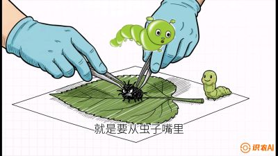 第07节：虫口夺叶（下）&mdash;&mdash;不得不打药时的&ldquo;解毒术&rdquo;，课程：《桑海淘金：桑树高产与蚕桑安全进阶实战课》