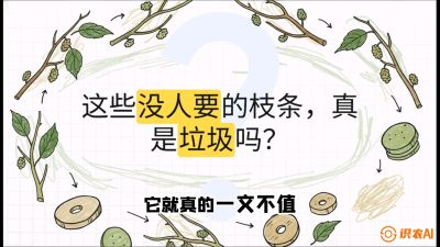 第12节：变废为宝&mdash;&mdash;循环农业实操，课程：《桑海淘金：桑树高产与蚕桑安全进阶实战课》