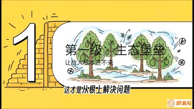 第七节：榴莲防御战：病虫害三级立体防控，疫霉菌与虫害的立体封锁线，课程：《国产榴莲突围战：从泰国经验到中国实操的8堂必修课（高阶实战版）》