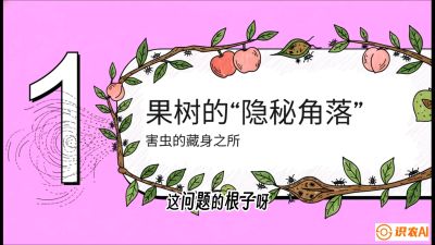 第3节：无人机专治&ldquo;打不透&rdquo;&mdash;&mdash;果树与高杆作物的穿透技巧，课程：《无人机植保搞钱必修课：从&ldquo;瞎飞&rdquo;到&ldquo;懂行&rdquo;的6步进阶》
