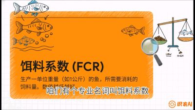 第五节：【高端单品&middot;鳜鱼】&ldquo;饲料鳜&rdquo;技术：打破吃活饵的高成本魔咒，课程：《黄金鳞甲：2025中国淡水鱼高效养殖实战营》