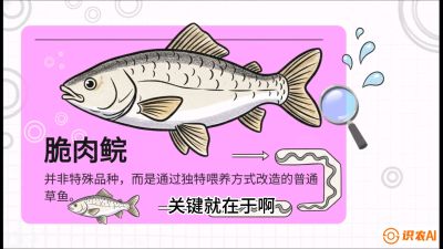 第六节：【老品升级&middot;脆肉鲩】如何让草鱼身价翻倍？，课程：《黄金鳞甲：2025中国淡水鱼高效养殖实战营》
