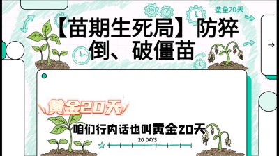 第2节：【苗期生死局】防猝倒、破僵苗，决定后期产量的&ldquo;黄金20天&rdquo;，课程：《辣椒种植实战特训营，从工业辣椒到精品小米辣，教你如何把&ldquo;草&rdquo;种成&ldquo;金&rdquo;》