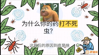 第4节：【虫害歼灭战】打不死的蓟马、隐形的茶黄螨：抗性时代的&ldquo;混配绝杀&rdquo;，课程：《辣椒种植实战特训营，从工业辣椒到精品小米辣，教你如何把&ldquo;草&rdquo;种成&ldquo;金&rdquo;》