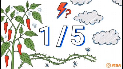 第6节：【花果爆发术】落花落果的五大元凶，与&ldquo;三喷一保&rdquo;坐果黑科技，课程：《辣椒种植实战特训营，从工业辣椒到精品小米辣，教你如何把&ldquo;草&rdquo;种成&ldquo;金&rdquo;》