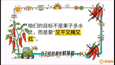 第7节：【工业辣椒专场】追求极致辣度！干物质提升与机械化采收的&ldquo;催红秘籍&rdquo;，课程：《辣椒种植实战特训营，从工业辣椒到精品小米辣，教你如何把&ldquo;草&rdquo;种成&ldquo;金&rdquo;》