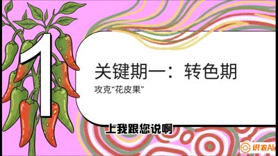 第8节：【小米辣线椒专场】颜值即正义！防花皮、防炭疽，打造收购商抢着要的&ldquo;精品果&rdquo;，课程：《辣椒种植实战特训营，从工业辣椒到精品小米辣，教你如何把&ldquo;草&rdquo;种成&ldquo;金&rdquo;》