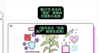 第02节：百合的&ldquo;癌症&rdquo;&mdash;&mdash;病毒病的阻断与急救，课程：《卷丹百合&ldquo;无病高产&rdquo;植保实战课》#识农AI