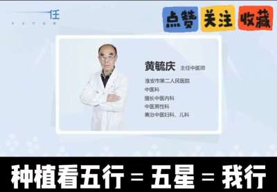 中药材淫羊藿怎么种？听专家一次讲明白！不挑地块好管理，耐寒耐旱省心省力，新手也能轻松上手，药用价值高、市场需求稳，妥妥的增收好品种～ 从生长习性到采收要点，干货满满无废话，种植疑问直接问，一对一答疑解