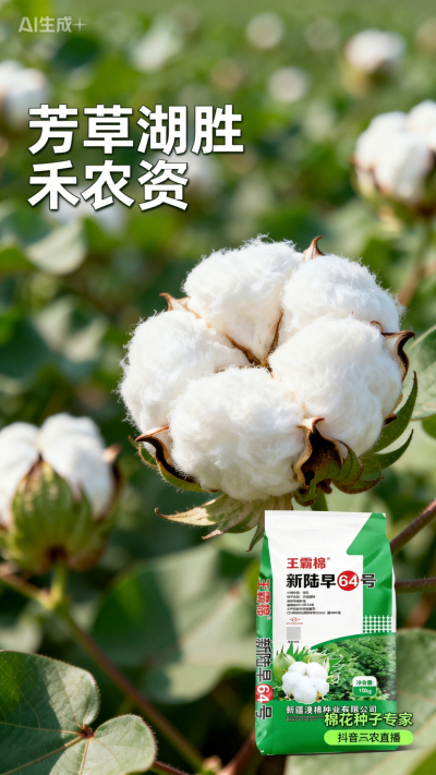 新疆棉花澳棉种业王霸棉，还有其它都好