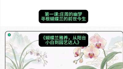 第一节：庄周的幽梦：寻根蝴蝶兰的前世今生，课程：《蝴蝶兰雅养六讲：从阳台小白到园艺达人》#识农AI