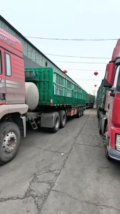 2月23号，源沃肥业排队装车中