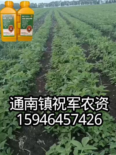 大豆苗前封闭，可封红根苋菜，灰菜，兰花菜，野豆子，捞豆秧等恶性杂草，封杀兼备的高端产品。