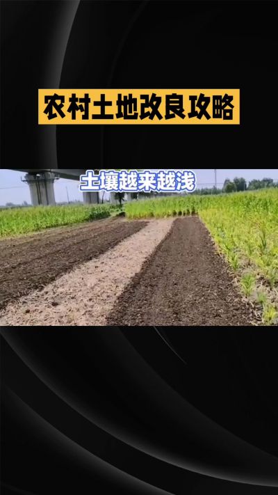 1. 先搞懂：你到底要改良哪块地、种什么
 
- 土土土在哪里？
就是你自家农田、菜地、果园，哪块地想种庄稼，就测哪块地的土。
​
- 有水没有水？
有水能浇：改良更省事，施肥、调酸碱都好操作。
没水