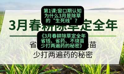 第1节：窗口期认知，为什么3月是除草的&ldquo;生死线&rdquo;？，课程：《3月春耕除草定全年：省钱、省药、不烧苗、少打两遍药的秘密》
