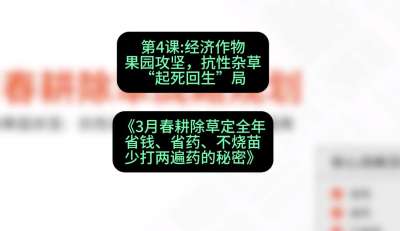 第4节：经济作物果园攻坚，抗性杂草&ldquo;起死回生&rdquo;局，课程：《3月春耕除草定全年：省钱、省药、不烧苗、少打两遍药的秘密》